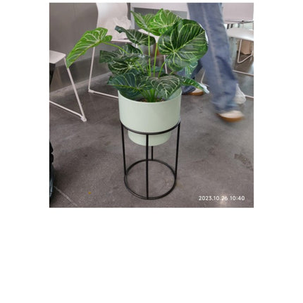 Flower Pot