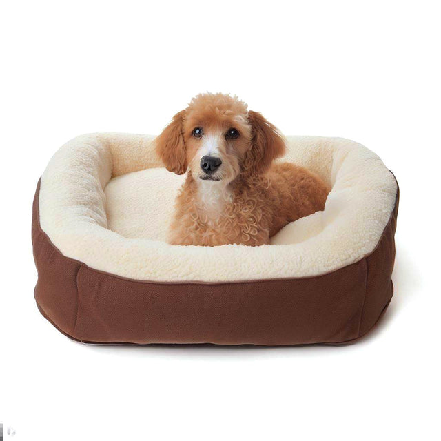 Dog Beds