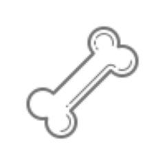 Collection image for: Pet Supplies