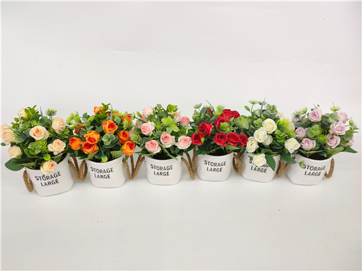 סיר ורדים מפלסטיק