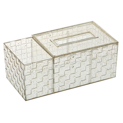 Box For Tissue Storage
