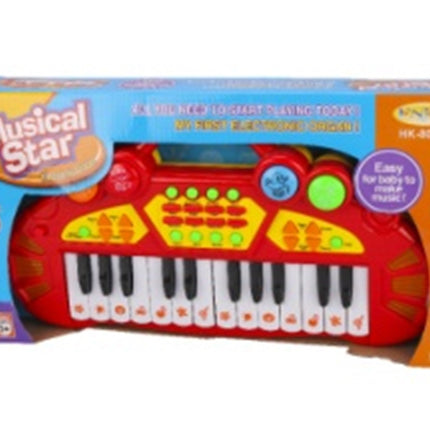 24-key electronic organ