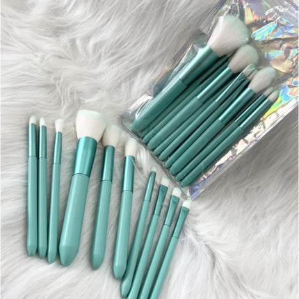 10 Pcs Brush Set