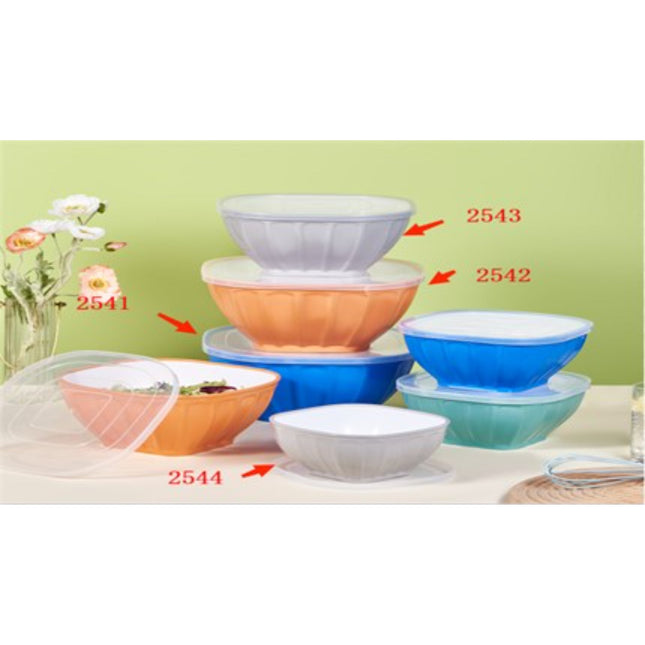 Square Two-Color Bowl Set