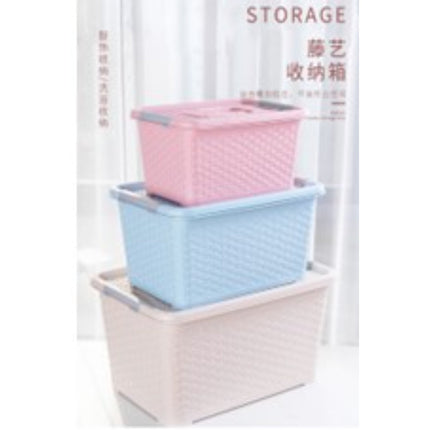 Pp Storage Box