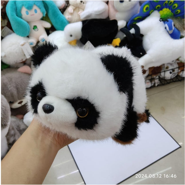 panda