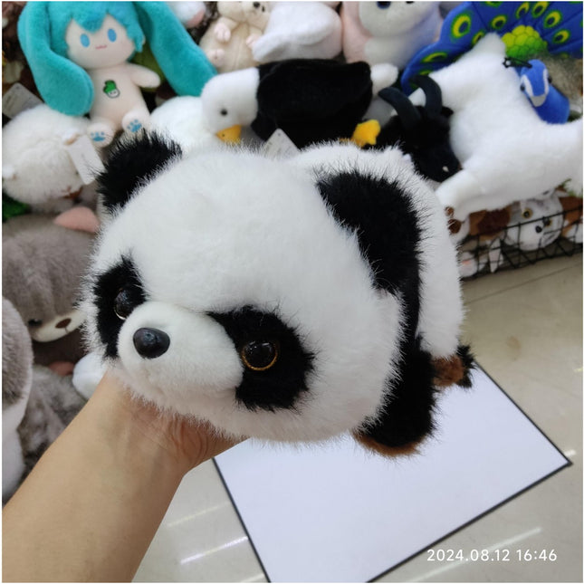 panda