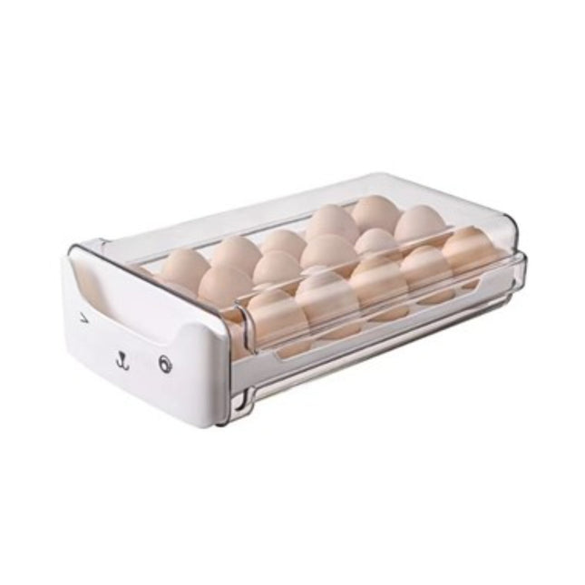 Egg Container