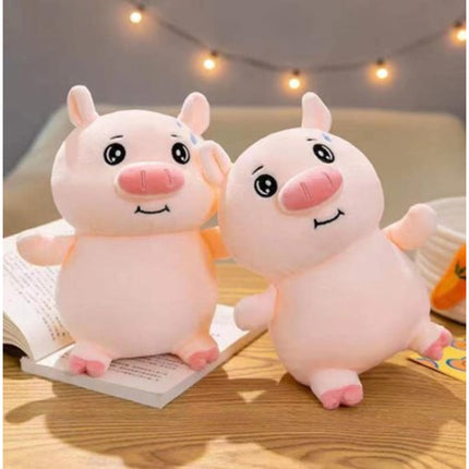 Hug Pig