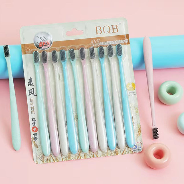 Toothbrush 10 Pcs Set
