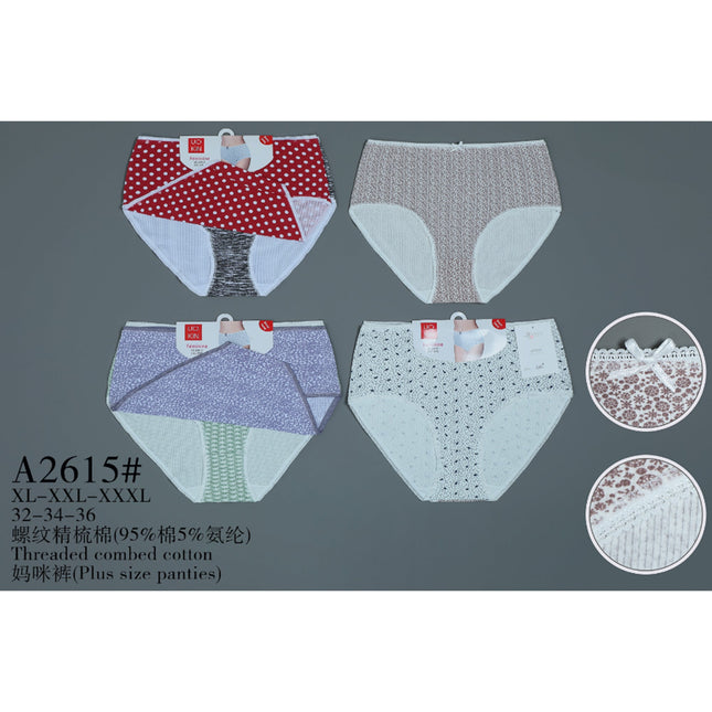 Plus Size Panties2Pcs