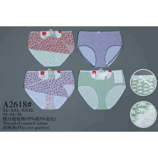 Plus Size Panties2Pcs