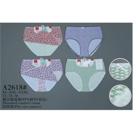 Plus Size Panties2Pcs