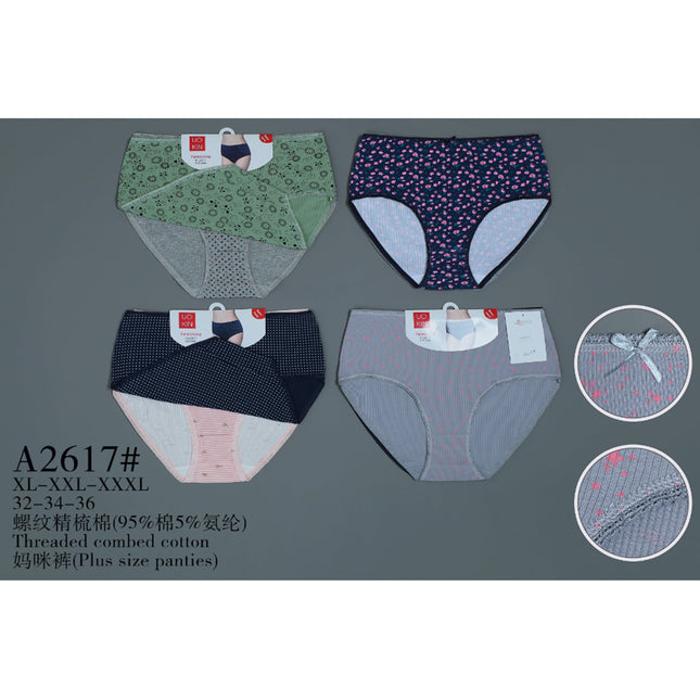 Plus Size Panties2Pcs