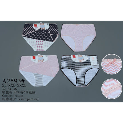 Plus Size Panties2Pcs