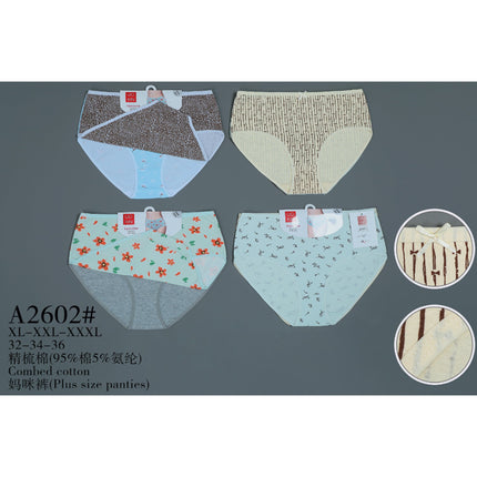 Plus Size Panties2Pcs