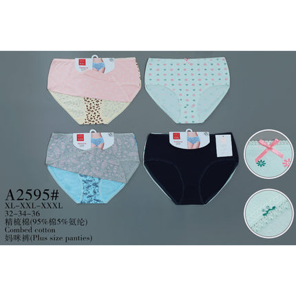 Plus Size Panties2Pcs