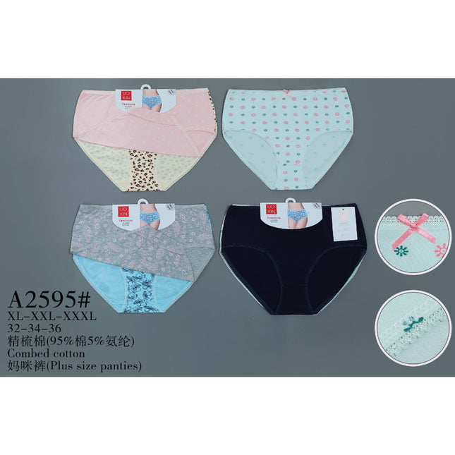 Plus Size Panties2Pcs