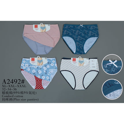 Plus Size Panties2Pcs