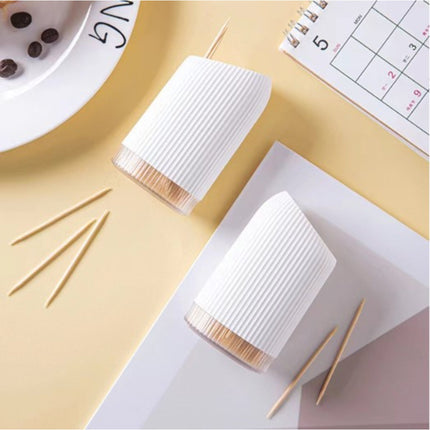 Toothpick Holder With Tooth Pick