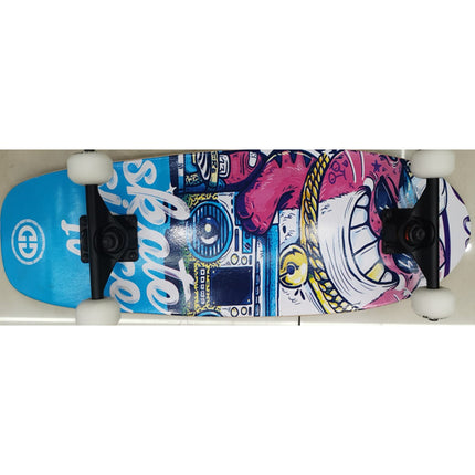 Skate Board 70 Cmx20Cm