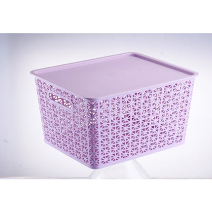 Storage Basket With Lip