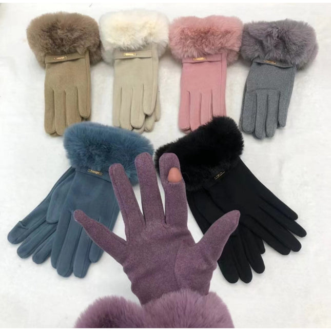 Lady's Gloves with Touch