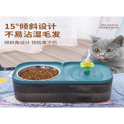 pet bowl