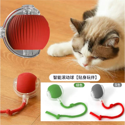 SMART PET TOY BALL