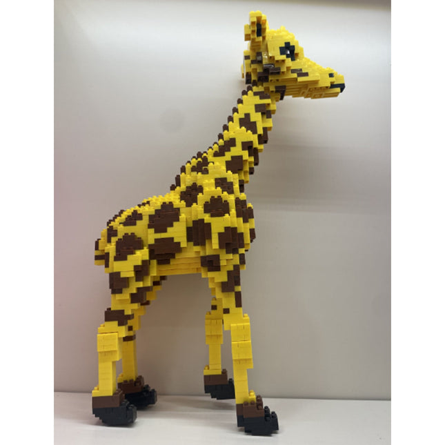 Buiding Toys