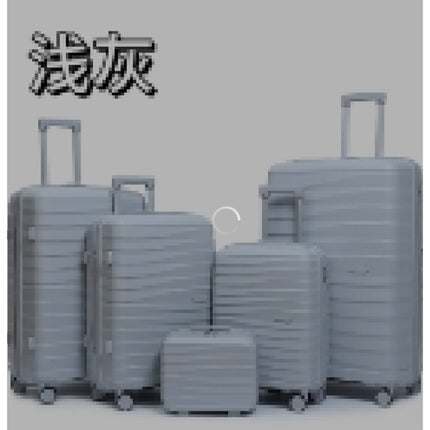 20" Luggage Grey pp
