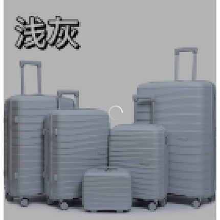 24" Luggage Grey pp