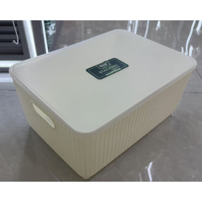 Plastic Household Storage Box