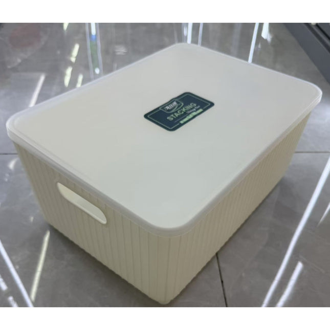 Plastic Household Storage Box