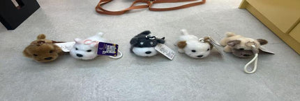 Accessories
–Dog Collection
