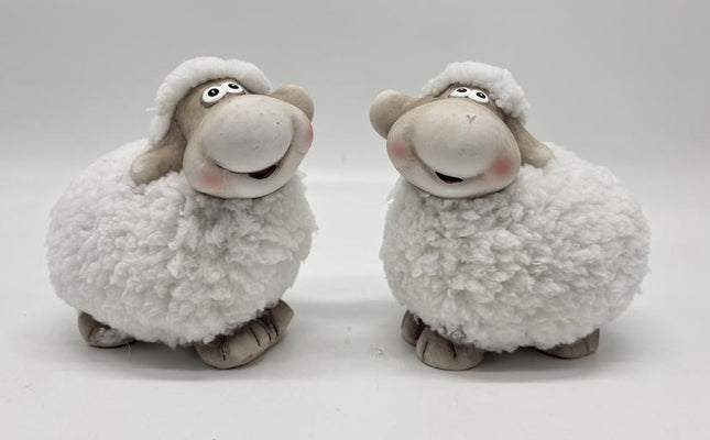 little Sheep