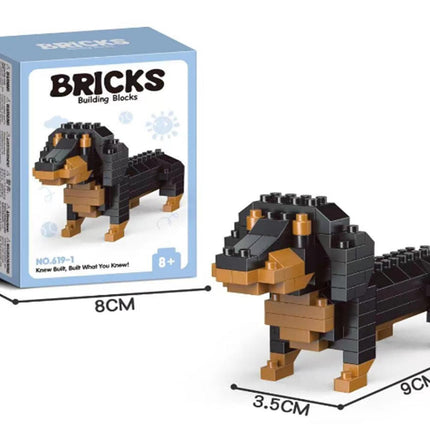 Dachshund
