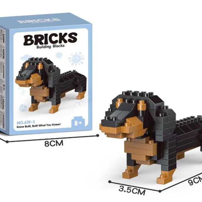 Dachshund