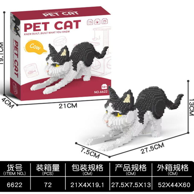Black and White Cat