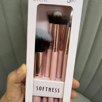 5PCS Makeup Brush