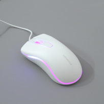 USB Home Mouse 2900p (לבן)