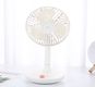 Boutique desktop fan-