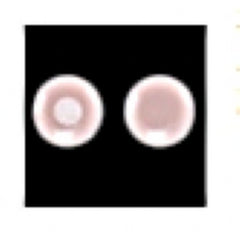 Collection image for: Bra Accessories