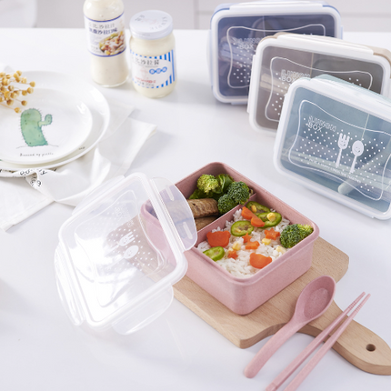 Divided Lunch Box