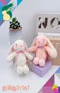Rabbit Doll 12 Cm