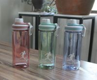 Sports Bottle 650 Ml