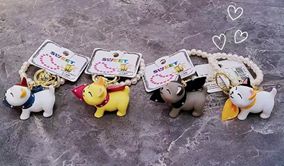 מחזיק מפתחות לכלב/חתול