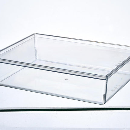 Transparent Storage Box