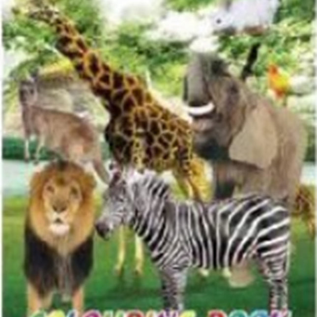 Coloring Book
