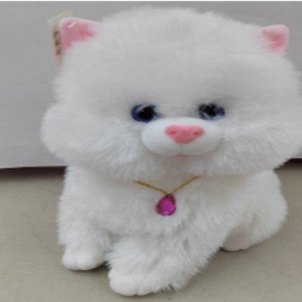 חתול עם קול